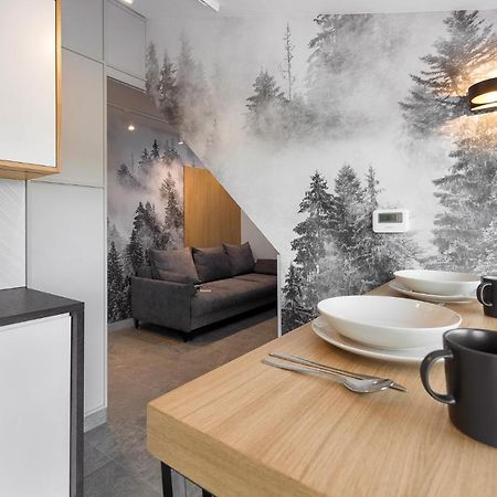Tatra Apartament Na Jaszczurowce 扎科帕内 外观 照片