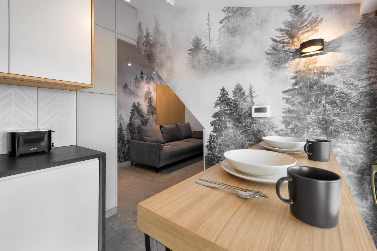 Tatra Apartament Na Jaszczurowce 扎科帕内 外观 照片