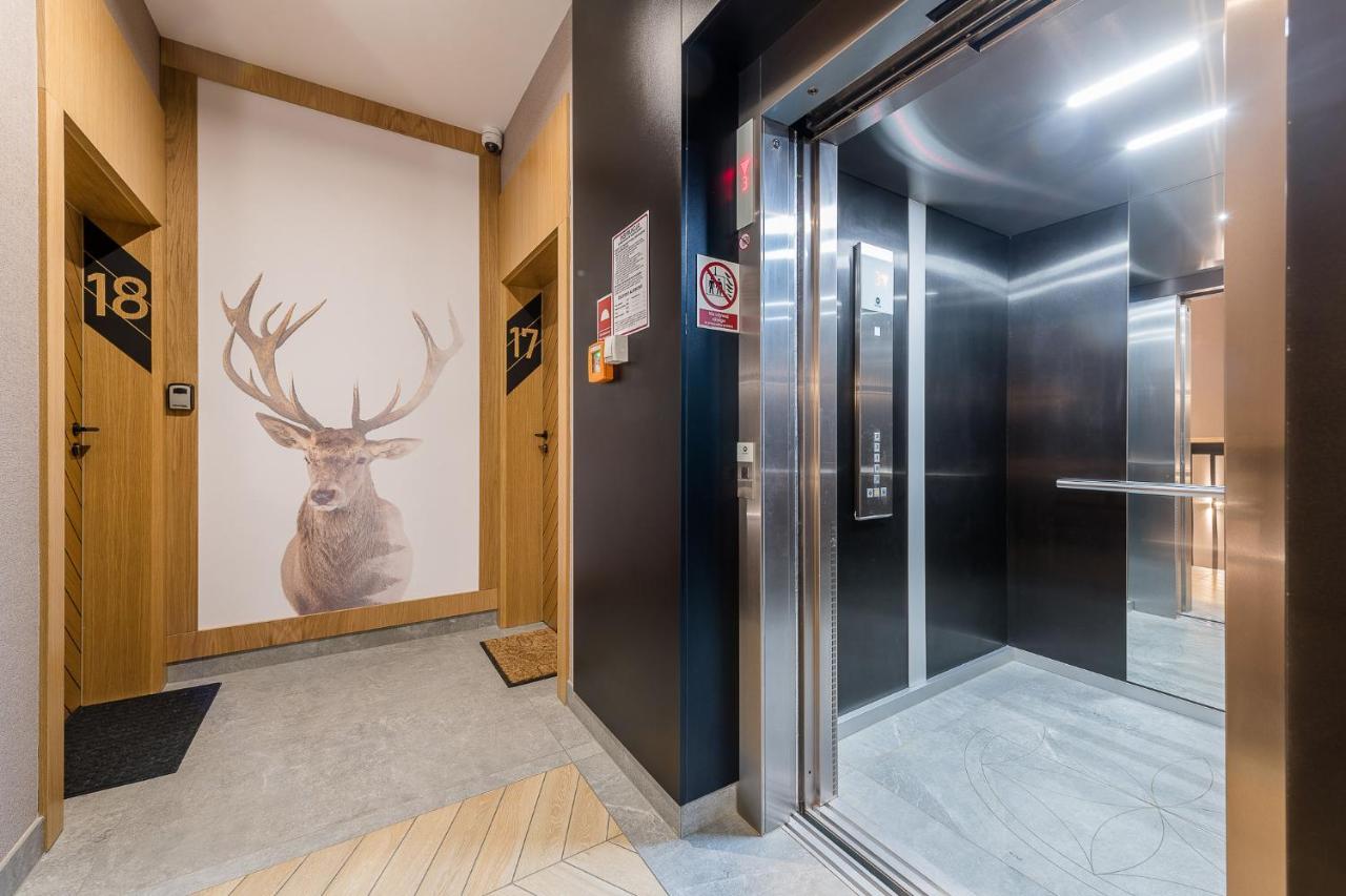 Tatra Apartament Na Jaszczurowce 扎科帕内 外观 照片